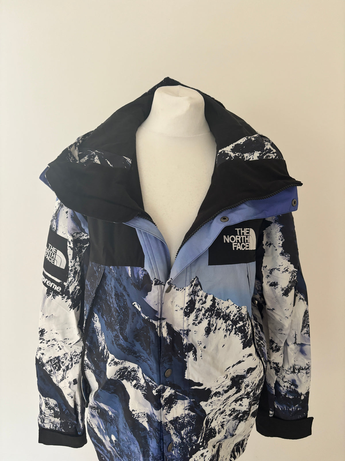 Supreme x The North Face
