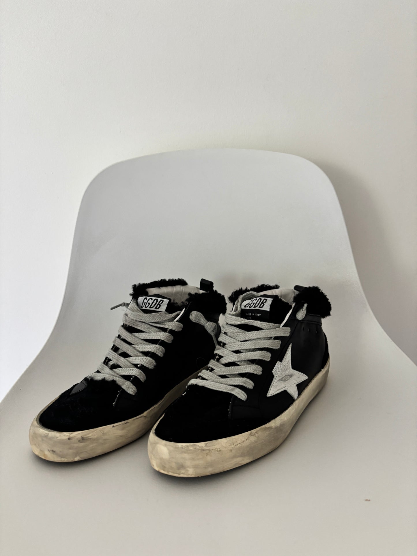 Golden Goose