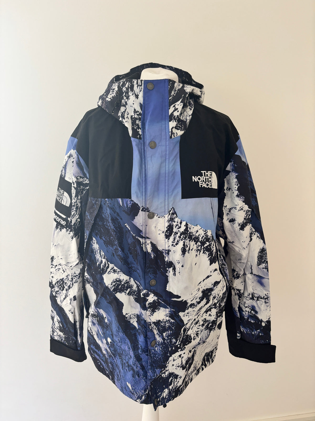 Supreme x The North Face