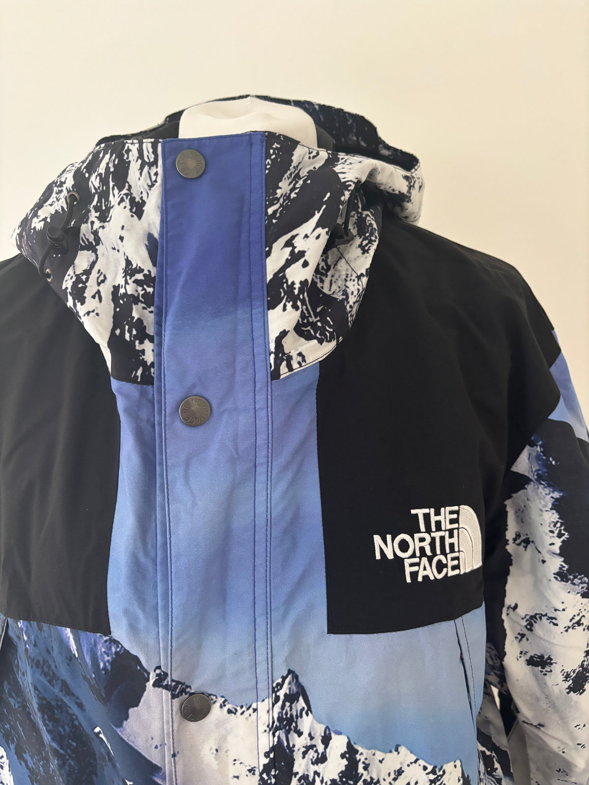 Supreme x The North Face
