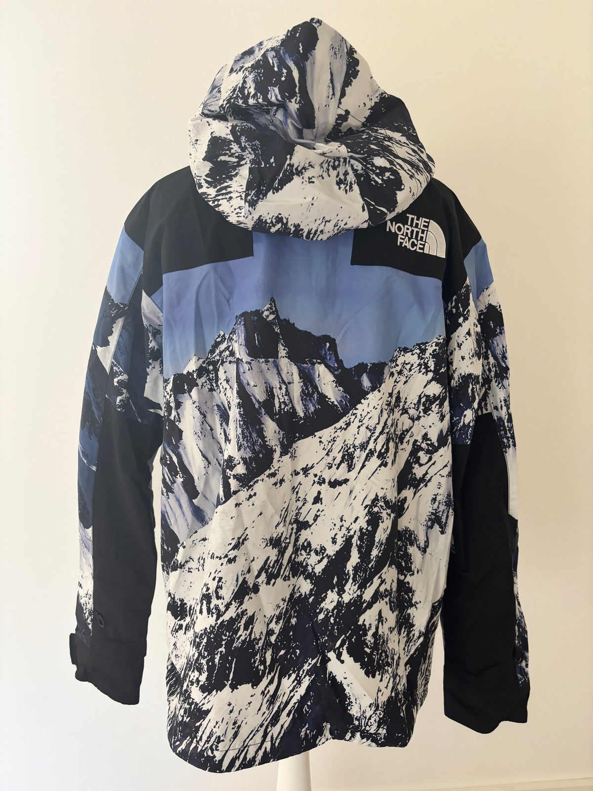 Supreme x The North Face